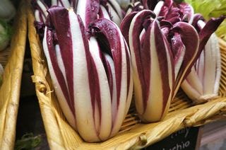 NY - Eataly radicchio NY - Eataly radicchio