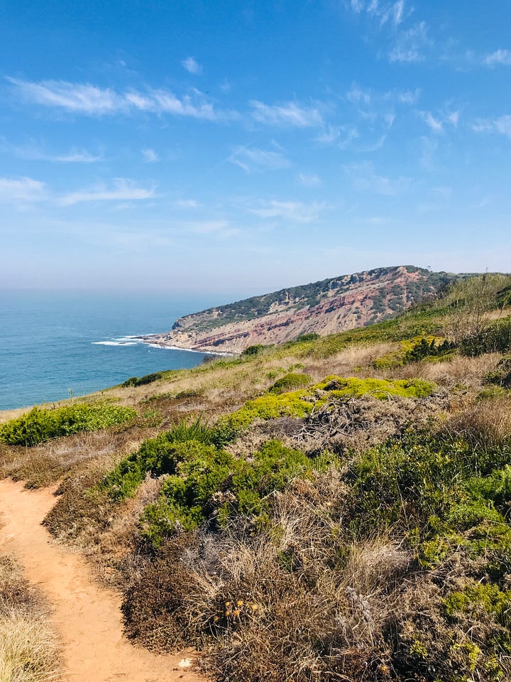 Dinosaur footprints in Portugal