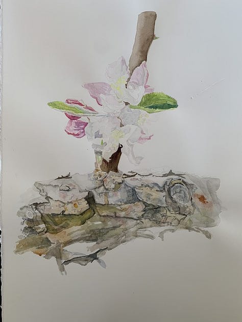 Half-finished floral artwork in watercolor and colored pencil by Wren Allen.