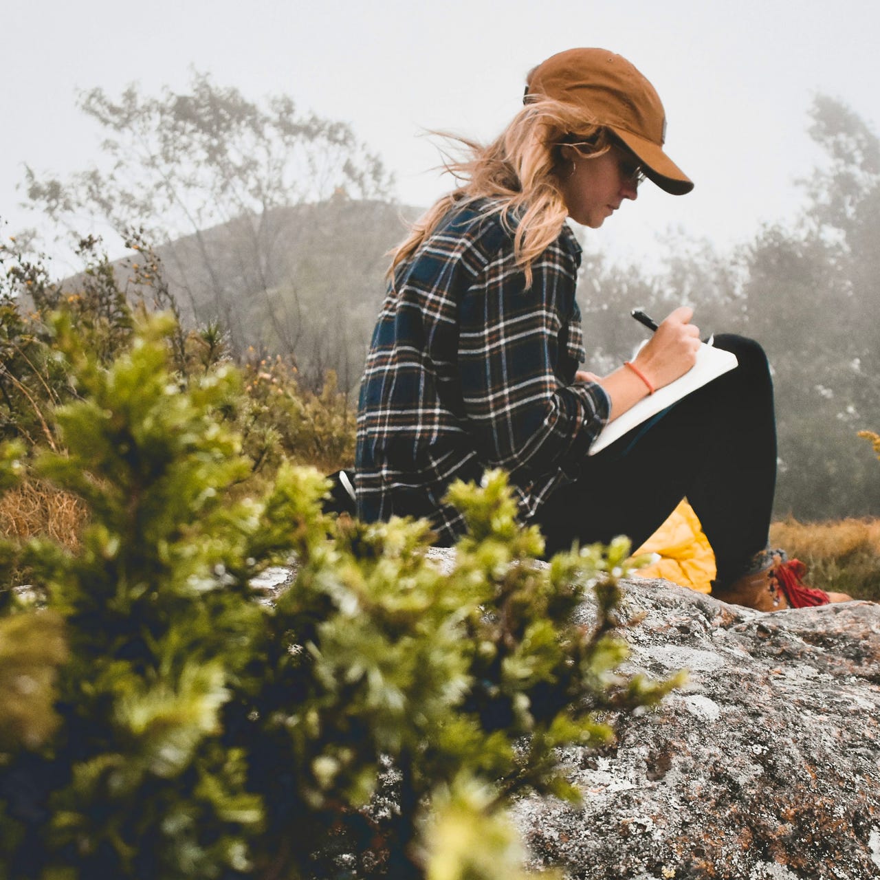 Everly’s Tattered Journal 