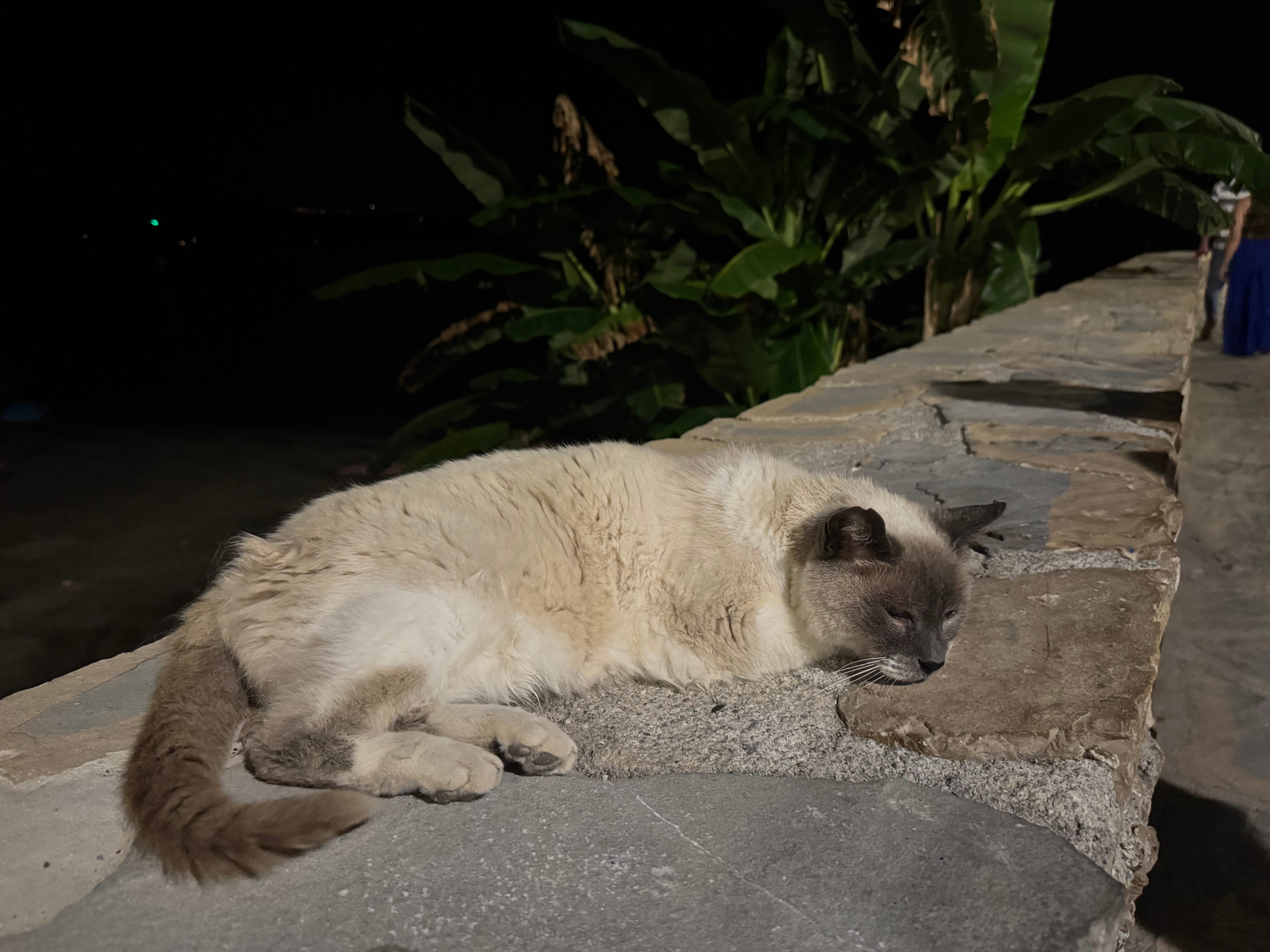 On Leaving Switzerland; Getting Robbed on a Train; Getting to Nerja, Spain