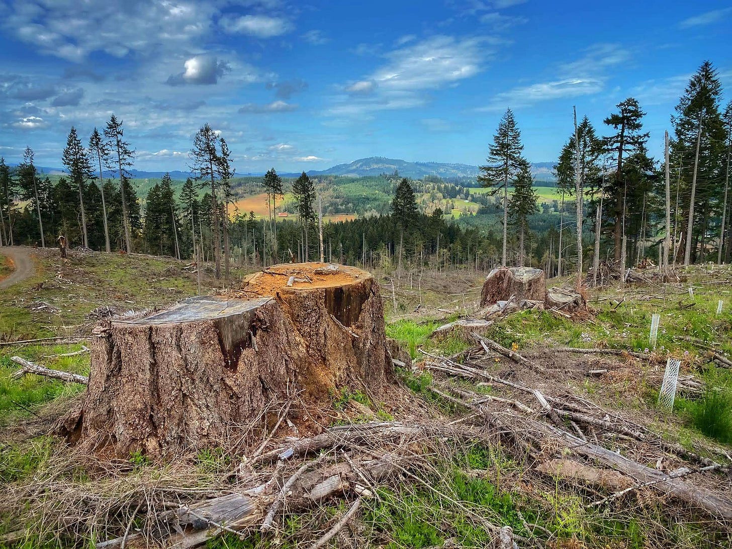 https://oregonwild.org/wp-content/uploads/2026/02/NailsCreekAfter2.jpg