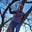 Patricia Munro's avatar