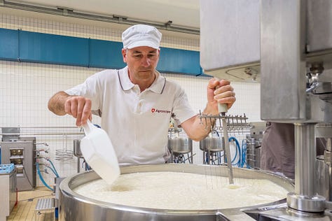 Eine Bildergalerie aus der Versuchskäserei von Agroscope zeigt verschiedene Schritte der Käseherstellung: Mitarbeitende in weissen Kitteln und Hauben im Gespräch, das Einfüllen von Flüssigkeiten in grosse Edelstahltanks, das Bearbeiten der Milch mit Käseharfen, das Prüfen der Bruchmasse von Hand sowie das Abfüllen der Käsemasse in Formen. Weitere Fotos zeigen Käselaibe in Regalen und eine Mitarbeiterin, die Produktionsdaten auf einem Blatt Papier kontrolliert. Die Galerie vermittelt einen umfassenden Einblick in den handwerklichen und wissenschaftlichen Prozess der Käseherstellung.