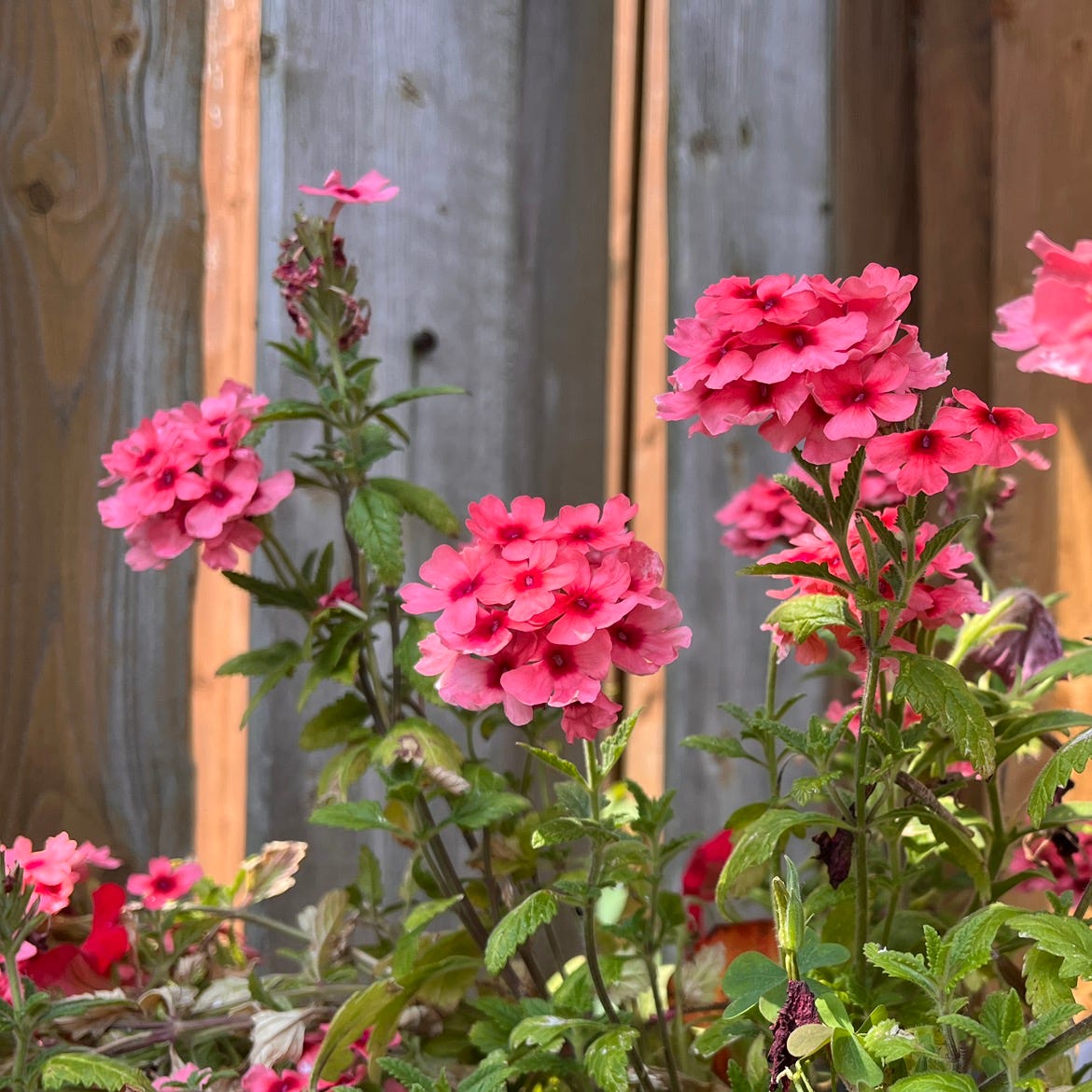 a girl with thoughts