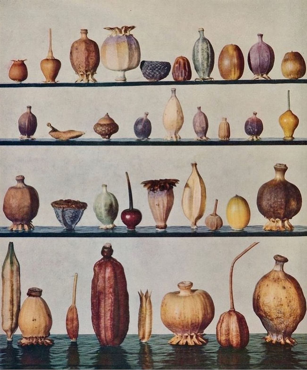 The Science & Soul of Beautiful Objects