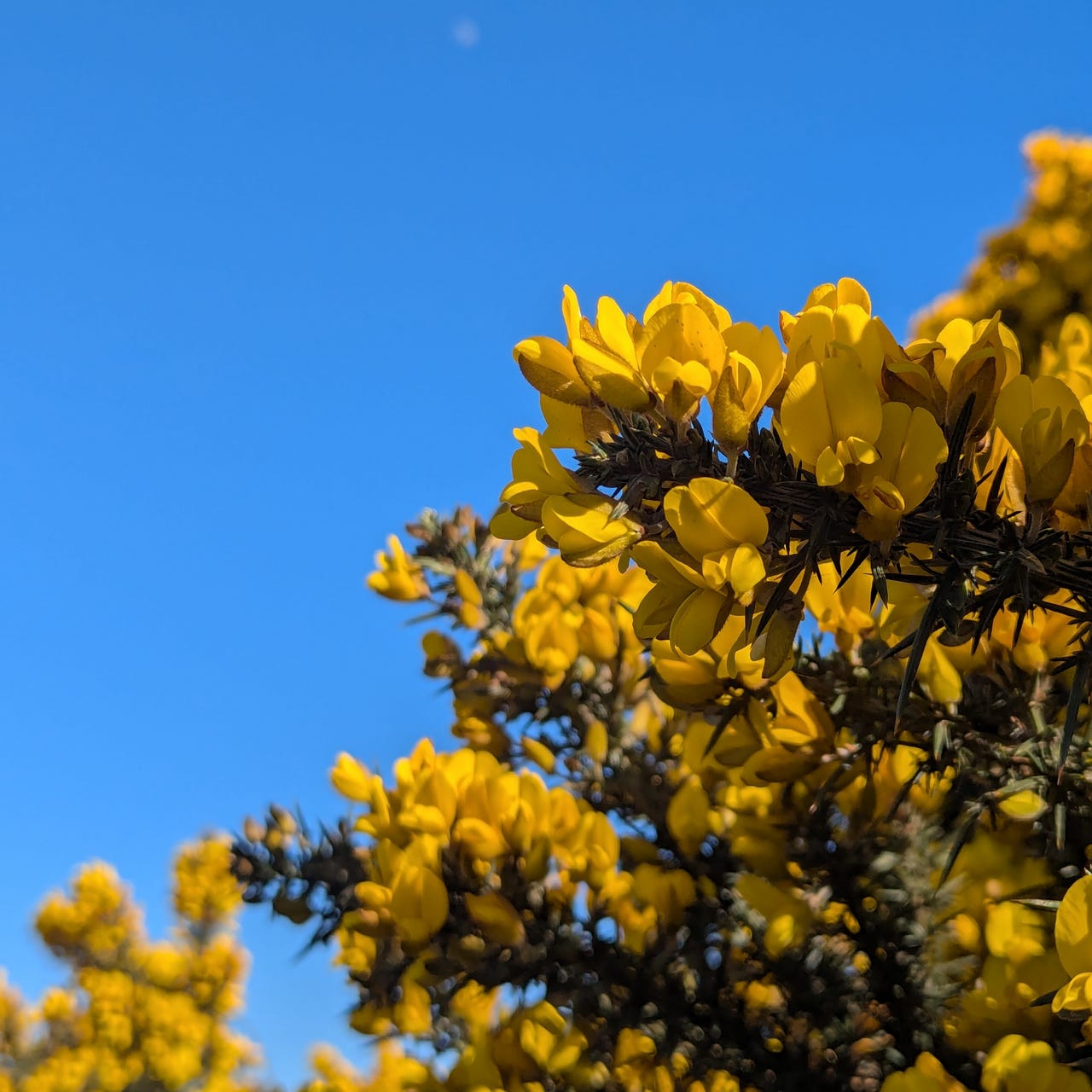 A More Creative Life