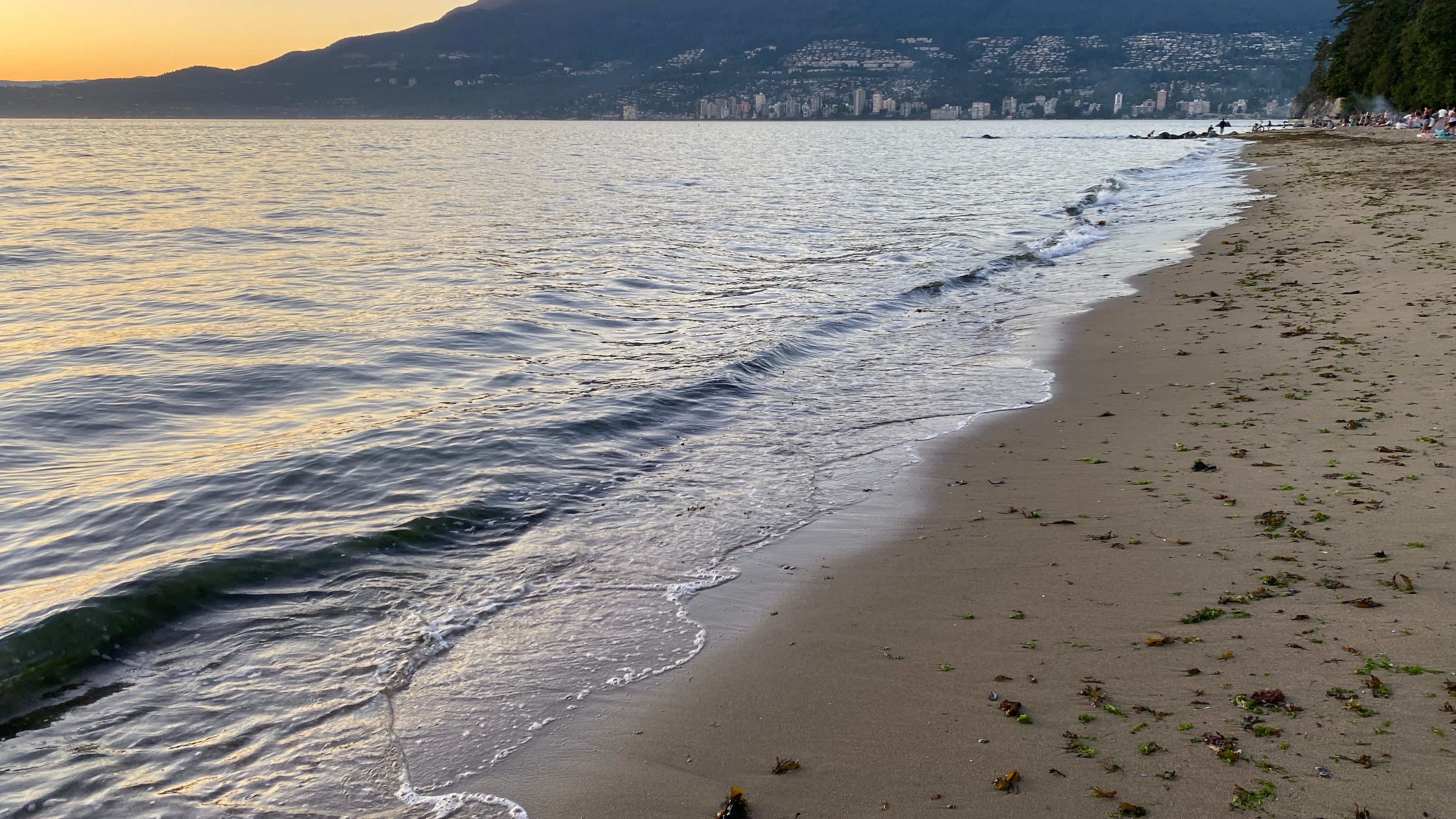 New Futures - by Brad on the Beach - Brad’s Substack