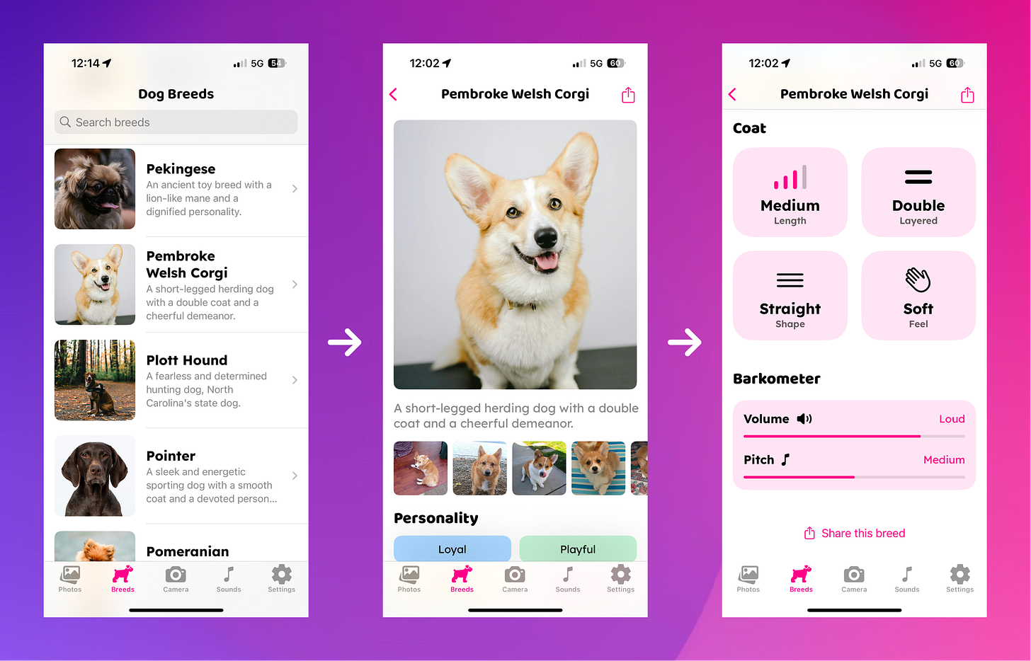 🚀 Major Update: DogCam Gets AI Breed Prediction