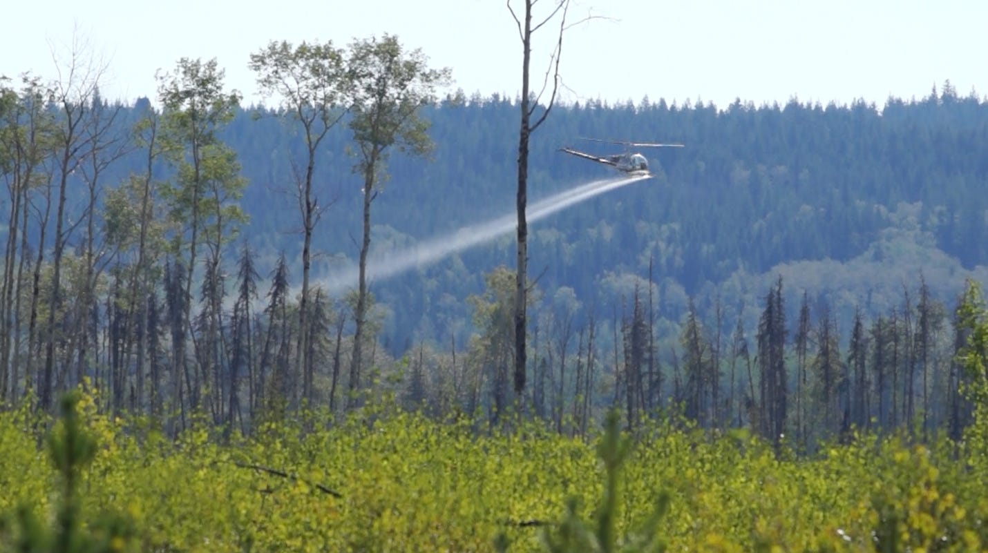Aerial herbicide spraying (Image courtesy Stop The Spray BC) Aerial herbicide spraying (Image courtesy Stop The Spray BC)