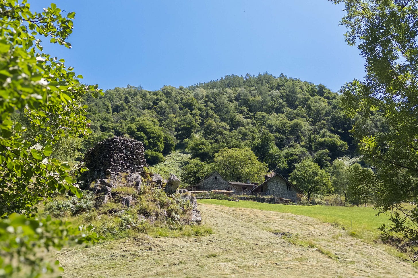 Blick auf die Ziegenalp Riei di Sopra im Centovalli, eingebettet in eine grüne Waldlandschaft. Im Vordergrund liegt eine frisch gemähte Wiese, links steht ein kleiner Steinturm aus lose aufgeschichteten Felsbrocken. Dahinter sind die traditionellen Steinhäuser der Alp mit Schindeldächern zu sehen. Die Alp liegt am Hang unterhalb eines dicht bewaldeten Berges – dem Colma. Der Himmel ist klar und blau, Bäume rahmen das Bild seitlich ein.