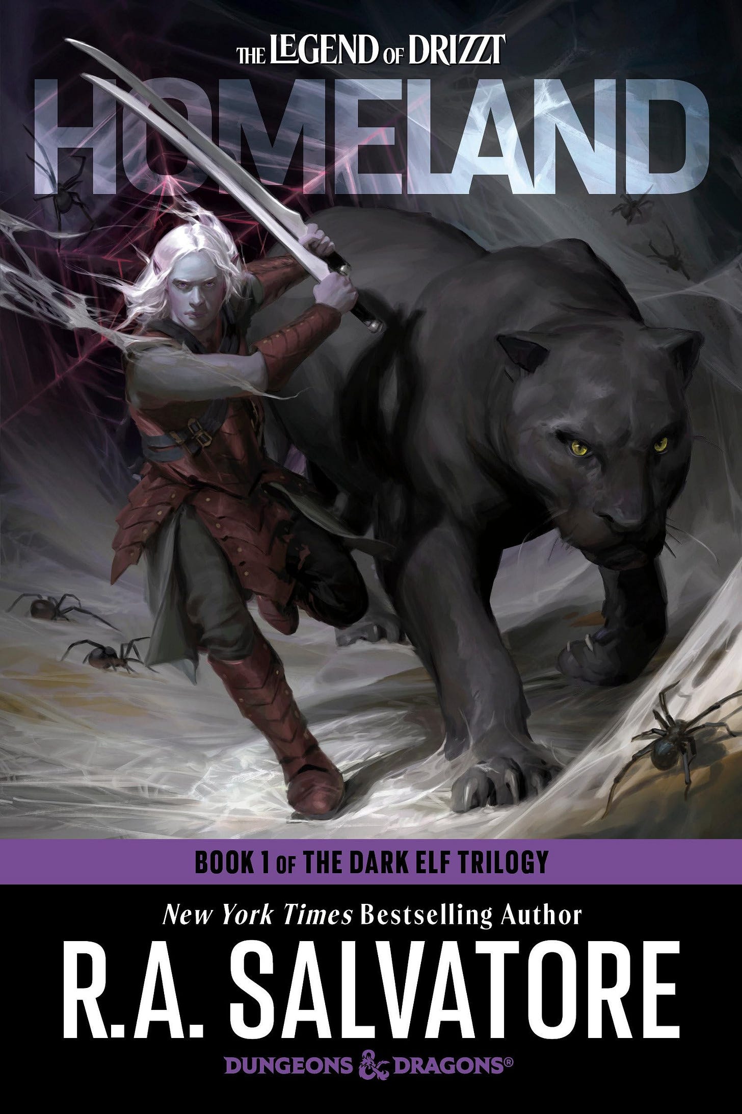 Drizzt Homeland