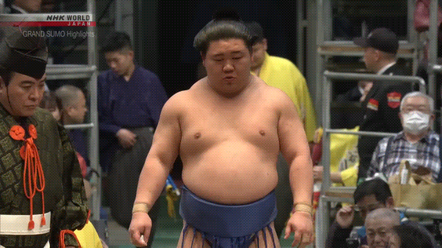Sumo Stomp! | Tim Edwards | Substack
