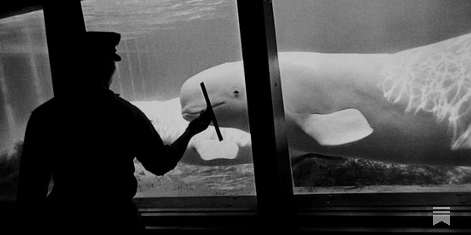 Photo Edition: Garry Winogrand's Zoo - by Bailey Richardson