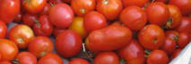 Beyond The Garden Basics