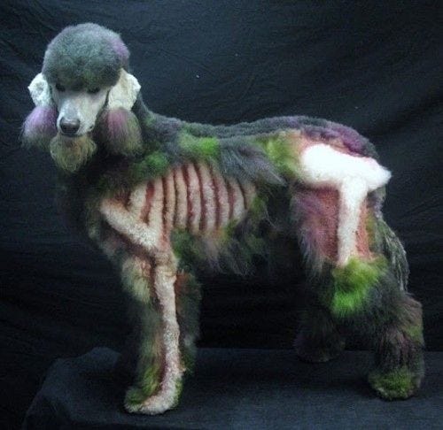 This may contain: a dog that is covered in fake grass and has been dressed up like a skeleton
