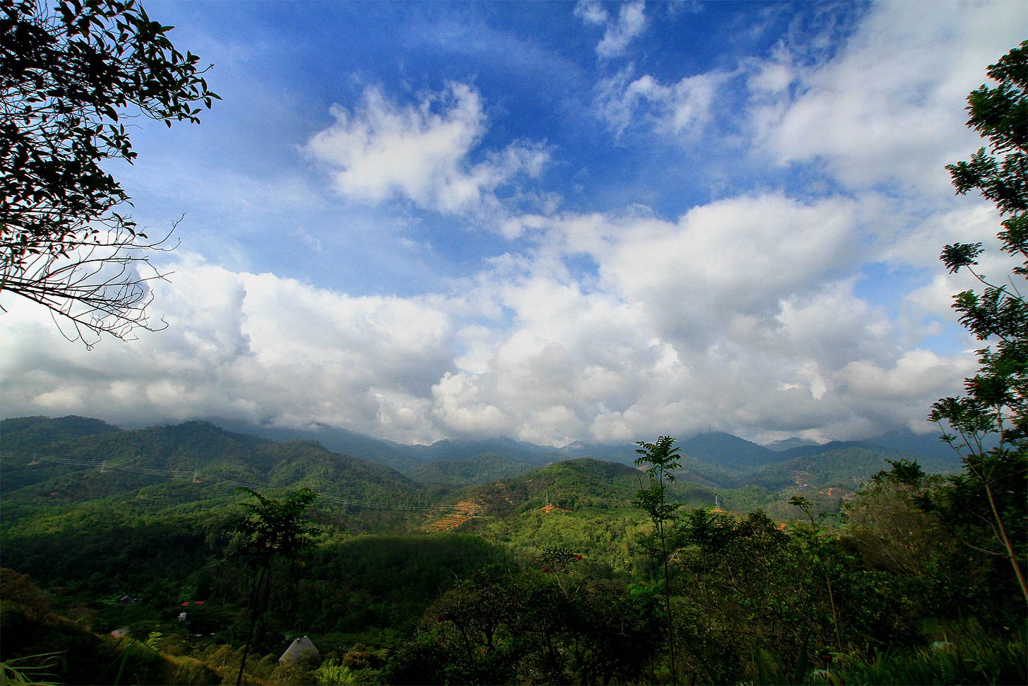 Rainforest in Pahang's Raub district in Peninsular Malaysia. Rainforest in Pahang's Raub district in Peninsular Malaysia.