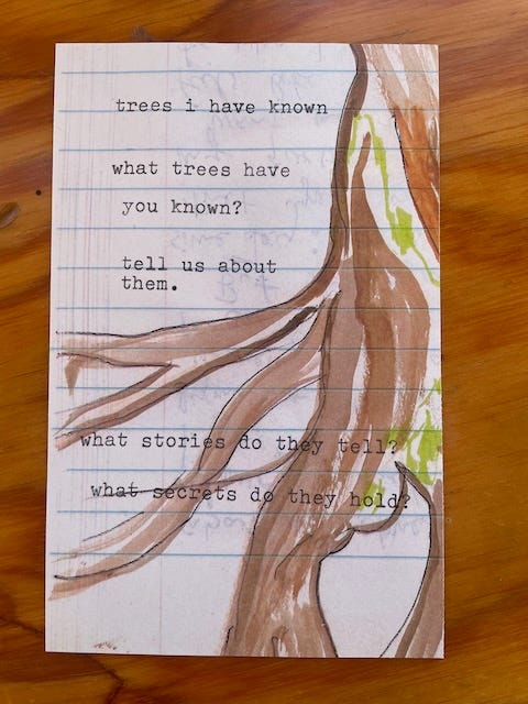 typewritten prompt (appears in text below) on top of a sketch of a big leaf maple