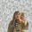 Bethany Clements Patrick's avatar