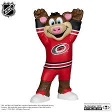Carolina hurricanes