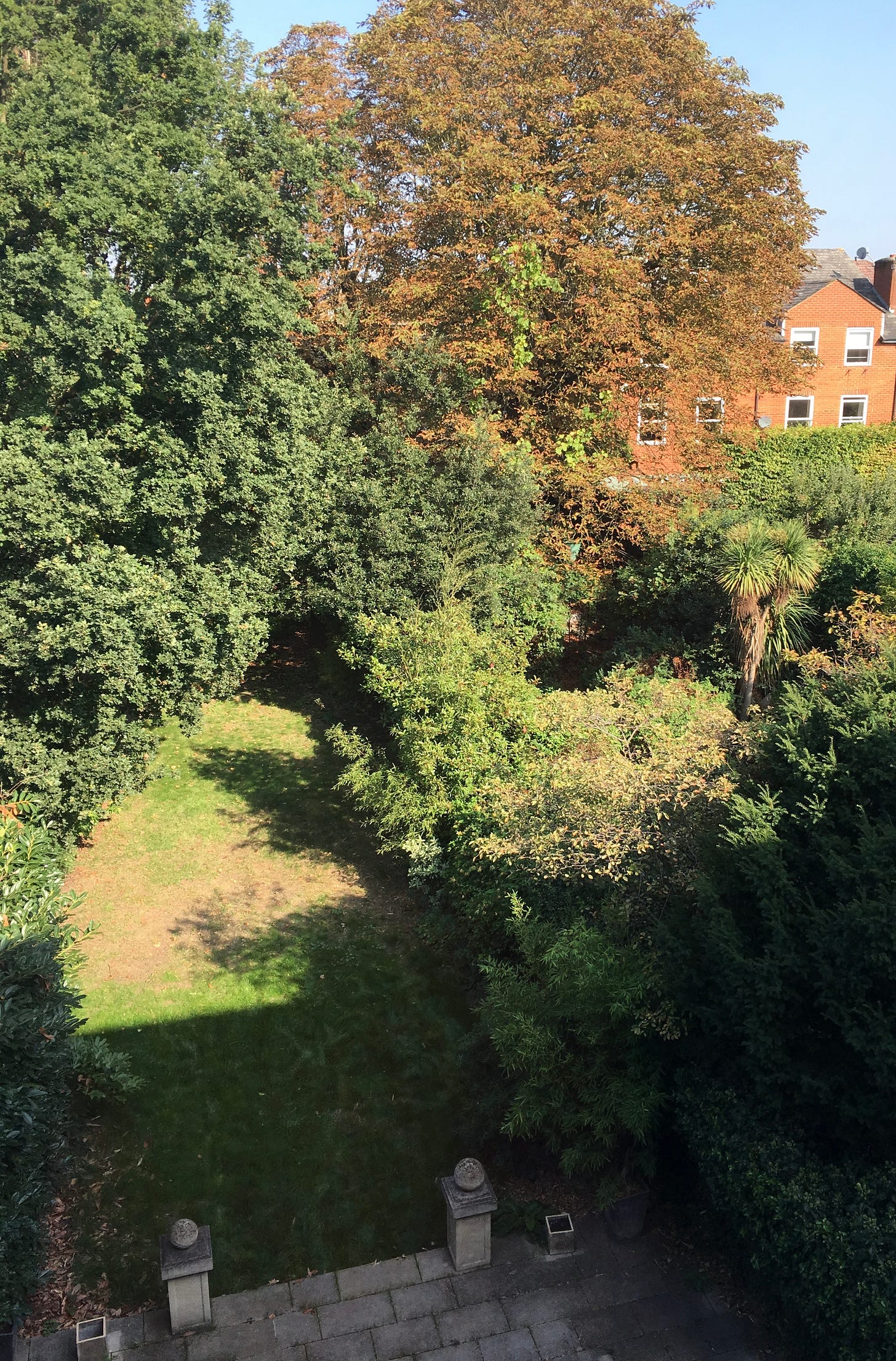 a long thin garden