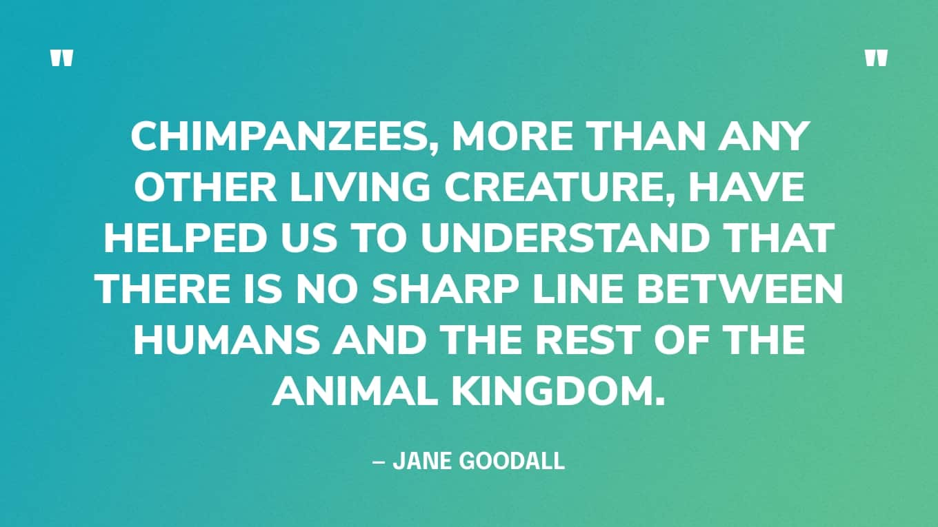 63 Best Jane Goodall Quotes on Hope & Legacy
