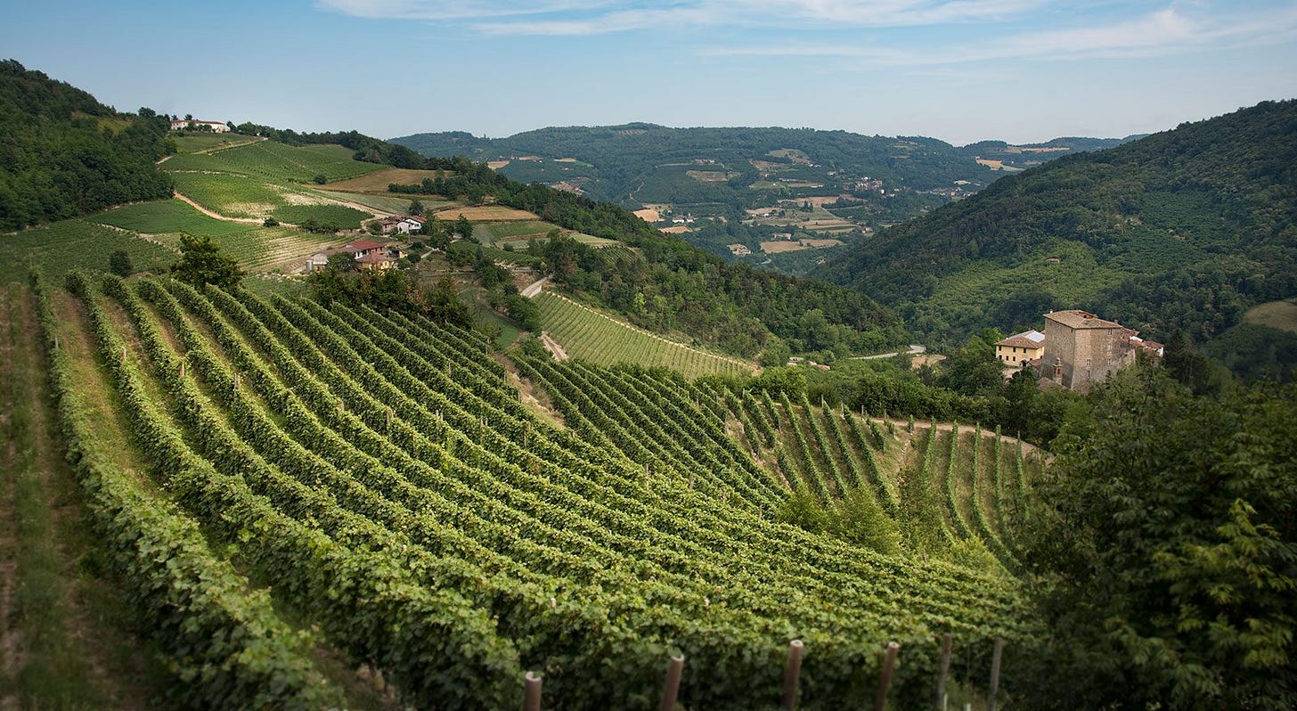 Alta Langa Docg - Alte bollicine piemontesi Alta Langa Docg - Alte bollicine piemontesi