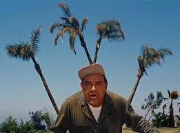 big W whenever you see palm trees ...