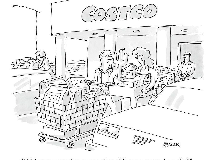 FIELD NOTES FROM COSTCO - by Jay Wilson - Jay's SUBSTACK