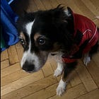 Five Things: Minnesota, Whatsapp, ICE, Prairie, Social Media