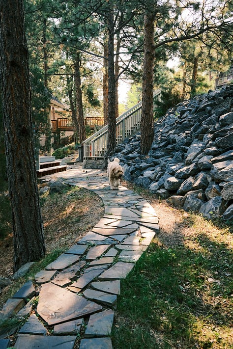 Fuji photographs of life by Tyler Knott Gregson