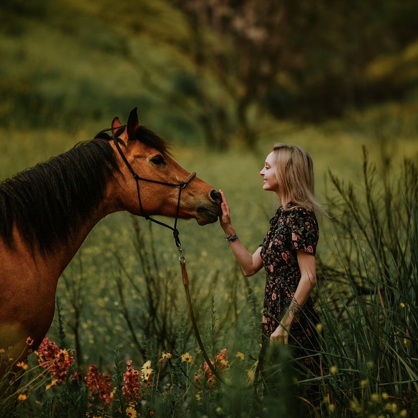 Compassionate Compass by Kristen Weiss