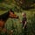 Compassionate Compass by Kristen Weiss