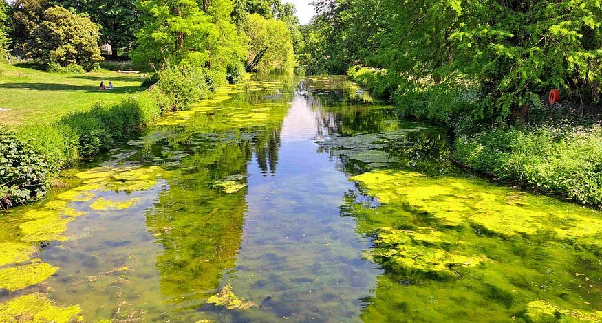 The brook running through Chiswick House gardens