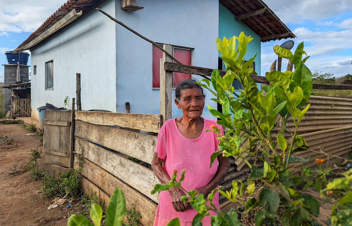 Marta Xavier de Oliveira, an Indigenous elder from the Kariri-Sapuyá people, kept several medicinal plants at her vegetable garden in her ancestral land in Brazil's northeastern Bahia state. Image by Karla Mendes/Mongabay.