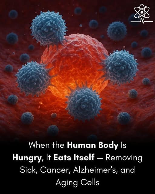 May be an image of text that says 'Wher the Human Body WhentheHumanBody Is Hungry, It Eats Itself Removing Sick, Cancer, Alzheimer's, and Aging Cells'