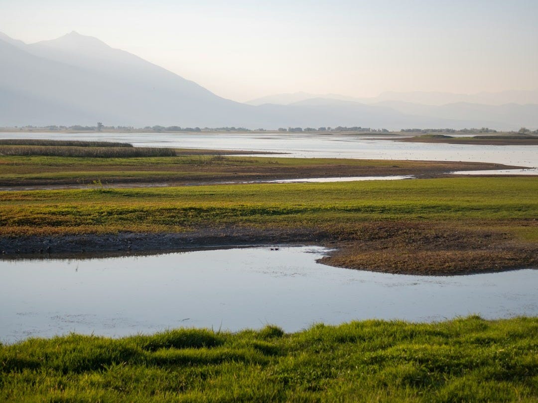 Les 7 Bonnes Nouvelles du Vendredi 26 Décembre 2025
