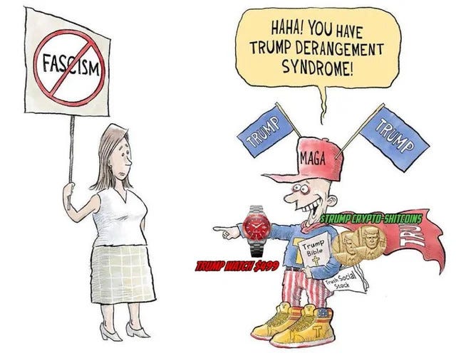 Political cartoon of a maga wearing trump merch pointing and mocking someone holding an anti-fascism sign as having TDS.