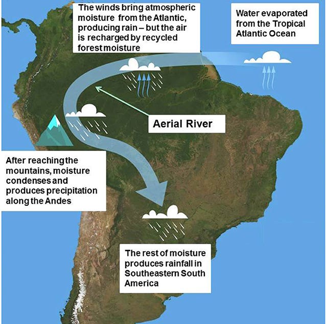 Drought, Floods, Climate Change, and Forest Loss in the Amazon Region: A  Present and Future Danger? · Frontiers for Young Minds