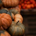 October in Five Senses