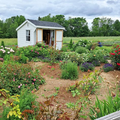 photos from a beautiful farm