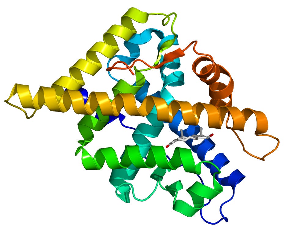 Androgen receptor - Wikipedia Androgen receptor - Wikipedia