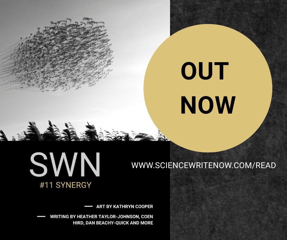 SWN #11 Synergy edition graphic with artwork by Kathryn Cooper