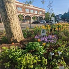 You have paid Timothy Stafford to do nothing for six whole months!