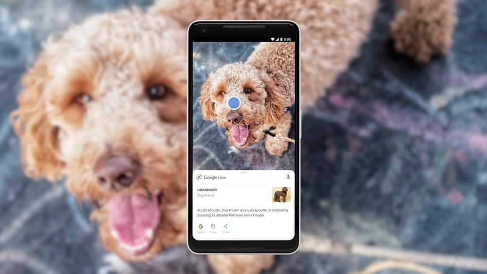 Google Lens est enfin disponible sur l'application iOS de Google
