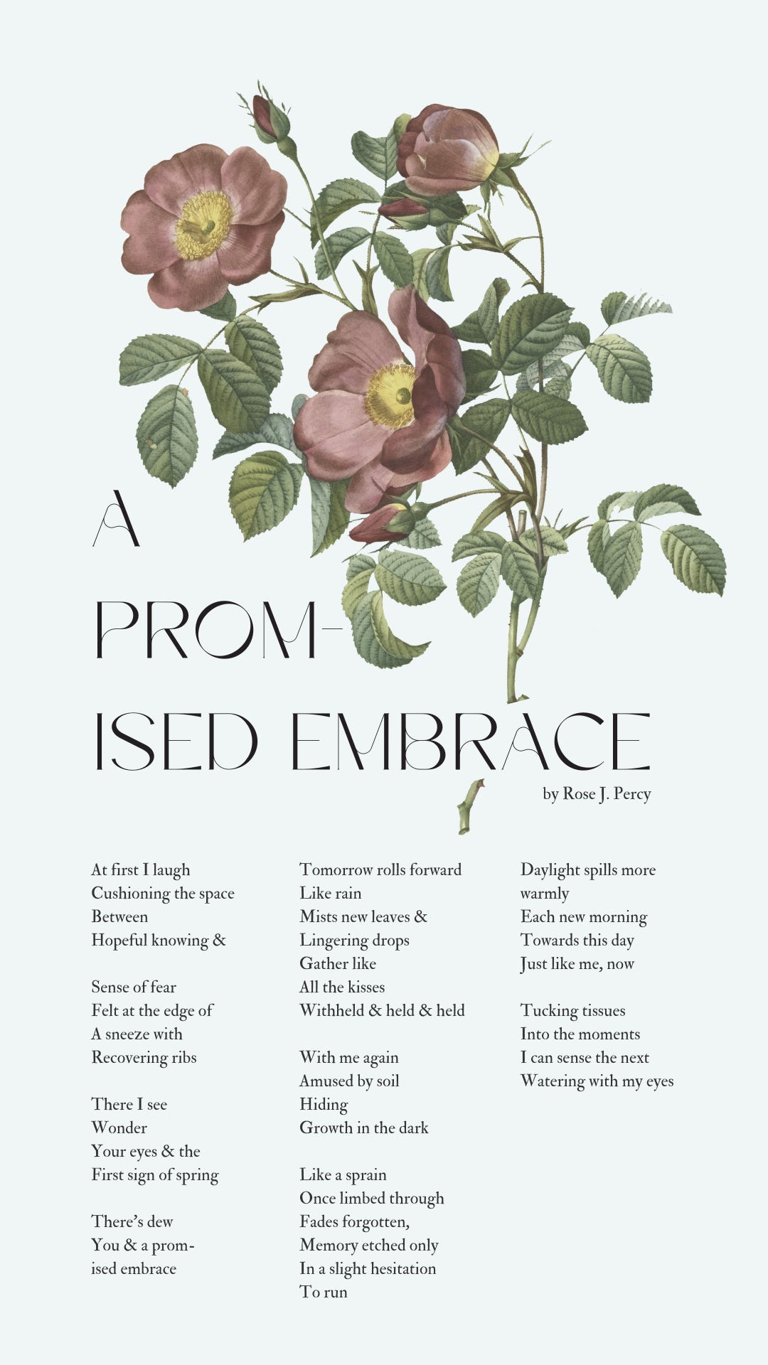 A promise embrace   At first I laugh Cushioning the space  Between  Hopeful knowing &  Sense of fear Felt the edge of A sneeze with Recovering ribs  There I see Wonder  Your eyes & the First sign of spring   There’s dew  You & a prom -ised embrace  Tomorrow rolls forward Like rain Mists new leaves &  Lingering drops  Gather like All the kisses  Withheld & held & held   With me again Amused by soil Hiding   Growth in the dark   Like a sprain  Once limbed through Fades forgotten, Memory etched only In a slight hesitation  To run  Daylight spills more warmly Each new morning  Towards this day  Just like me, now  Tucking tissues Into the moments  I can sense the next Watering with my eyes