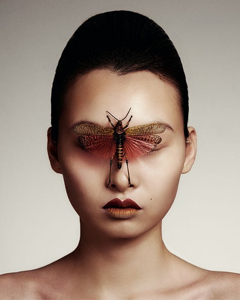 intervista make-up