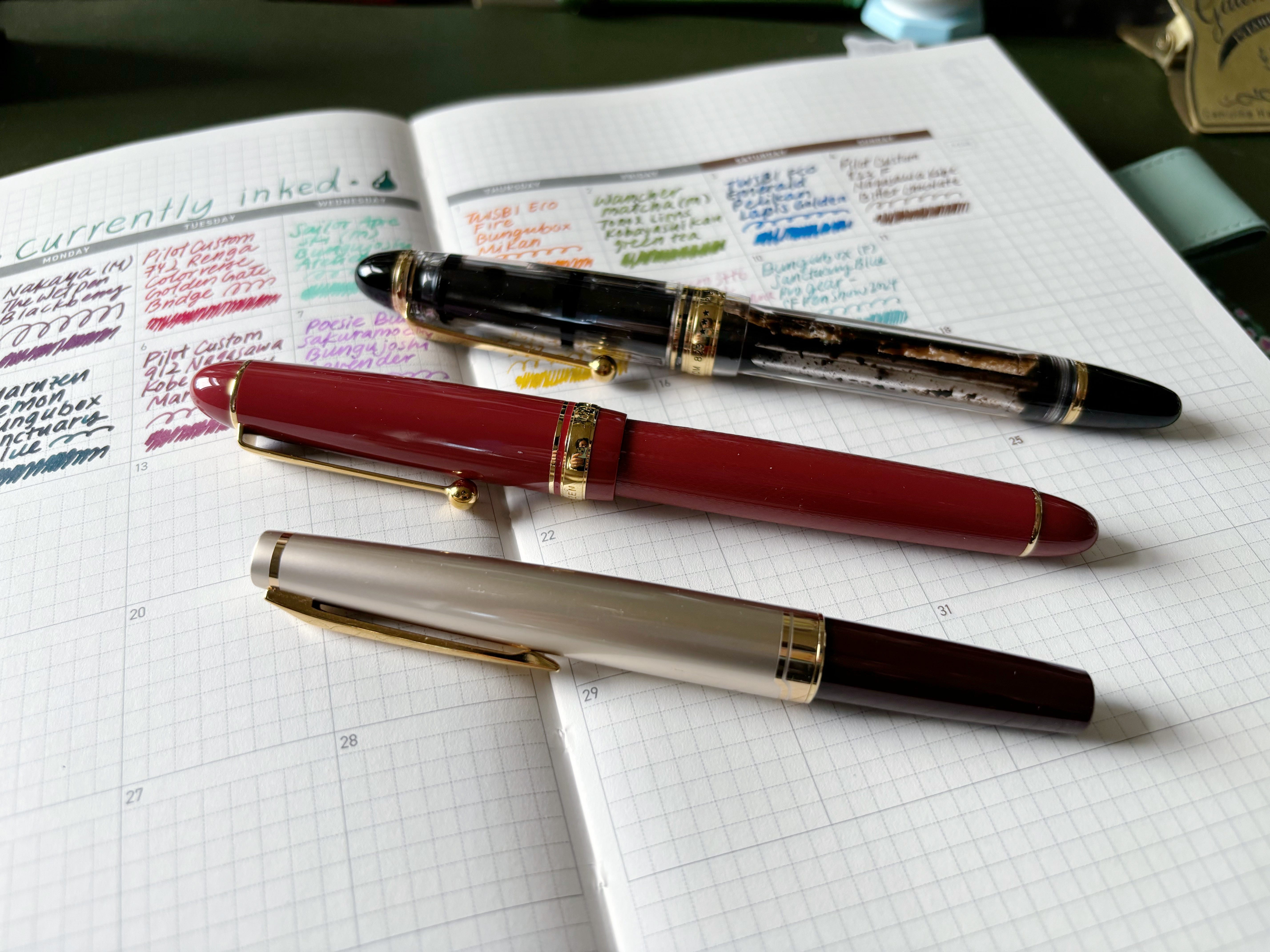 February 2025 Currently Inked Pens - by April Wu