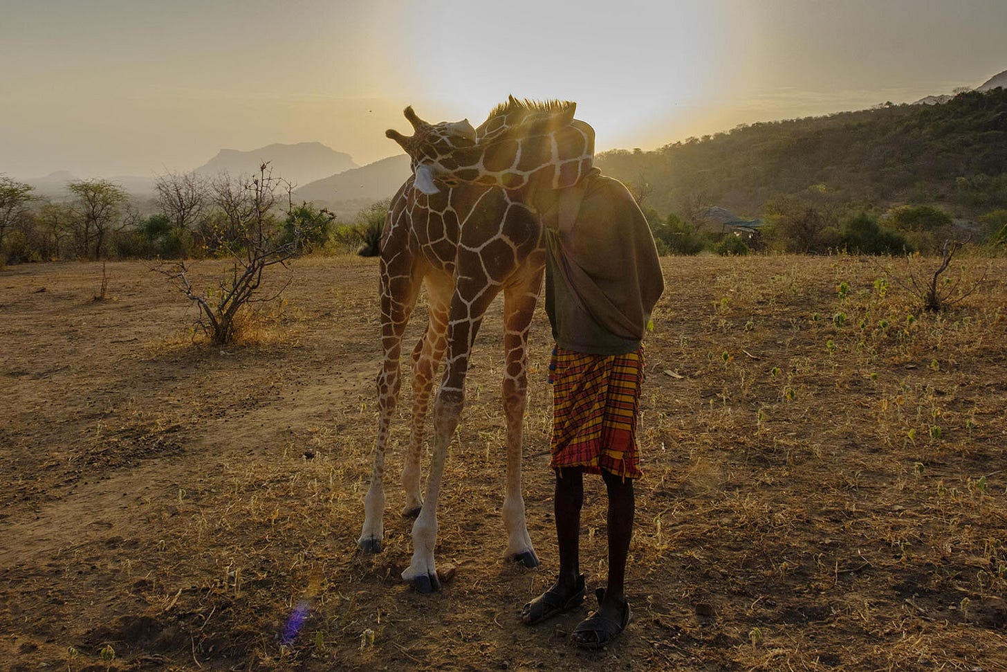 Kathy-Karn-For-the-Love-of-Giraffes-09.jpg