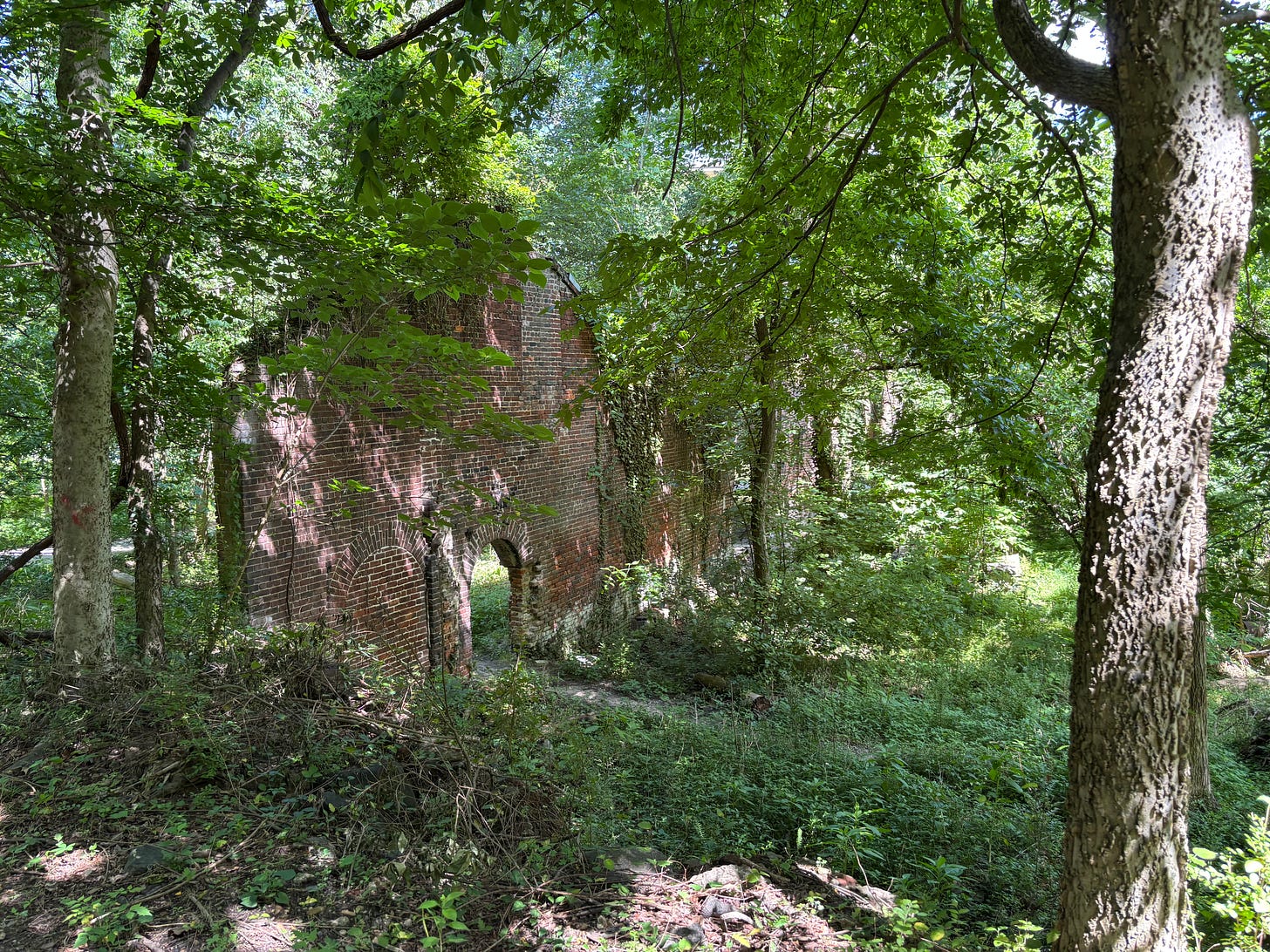 remains of an old brick building amidst a dense, green forest